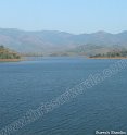 chimmini-dam-thrissur (3a)